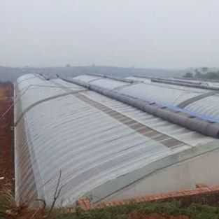 Juxiang Arrosage automatisé Serre solaire pour légumes Ventilation et ombrage