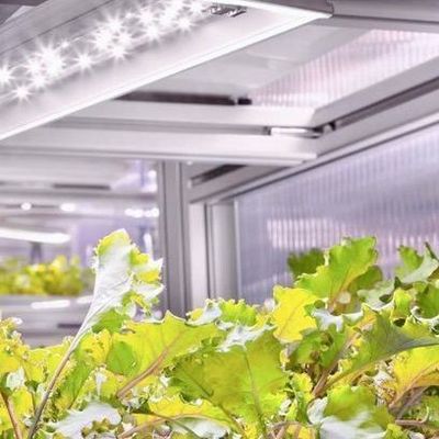 Serre commerciale polyvalente pour l'agriculture verticale hydroponique dans un conteneur de transport