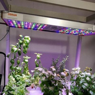 Serre commerciale polyvalente pour l'agriculture verticale hydroponique dans un conteneur de transport