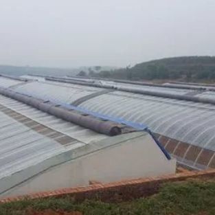 Système d'irrigation Lumière solaire Serre pour légumes