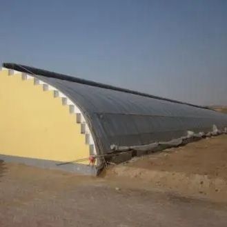 Serre à double couche et à toit en arc pour la culture de tomates
