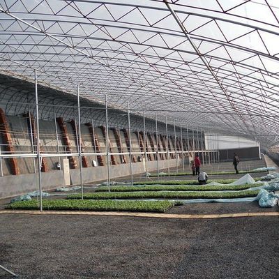 Serre à double couche et à toit en arc pour la culture de tomates