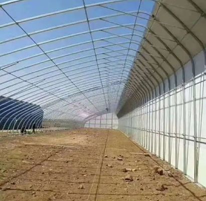 Serre à double couche et à toit en arc pour la culture de tomates