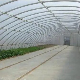Serre solaire végétale avancée avec contrôle de l'humidité et croissance optimale des plantes