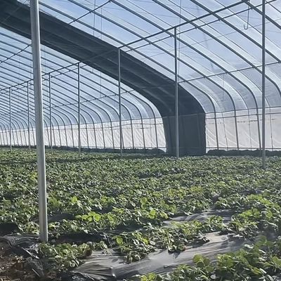Serre solaire végétale avancée avec contrôle de l'humidité et croissance optimale des plantes