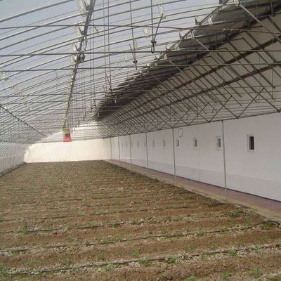 Serre solaire végétale avancée avec contrôle de l'humidité et croissance optimale des plantes