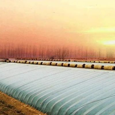 Paquet Poids brut 2000.000kg Serre à lumière du soleil légère pour la culture de légumes