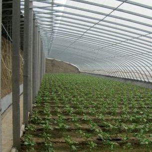 Paquet Poids brut 2000.000kg Serre à lumière du soleil légère pour la culture de légumes