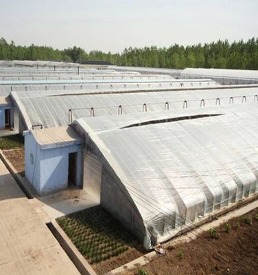 1209.00cm * 235.00cm * 239.00cm Tomates et concombres Plantation Serre à la lumière du soleil pour votre