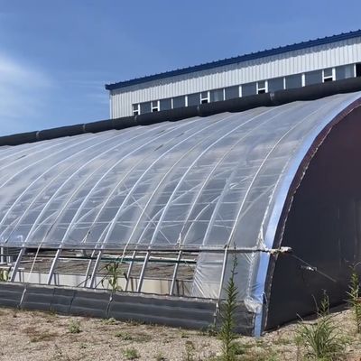 1209.00cm * 235.00cm * 239.00cm Tomates et concombres Plantation Serre à la lumière du soleil pour votre