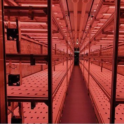 Serre de conteneur pour agriculture verticale dans la conception de conteneurs de transport maritime