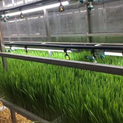 Serre de conteneur pour agriculture verticale dans la conception de conteneurs de transport maritime