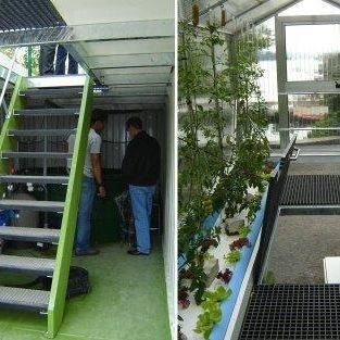Élevage vertical à haute humidité Serre hydroponique pour les légumes