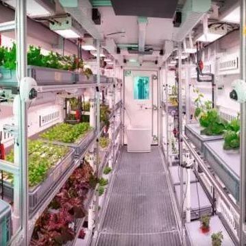 Serre à conteneurs multifonctions pour les avantages du système hydroponique et de l'agriculture verticale