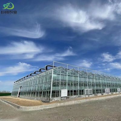 Serre à toit en verre avec système hydroponique