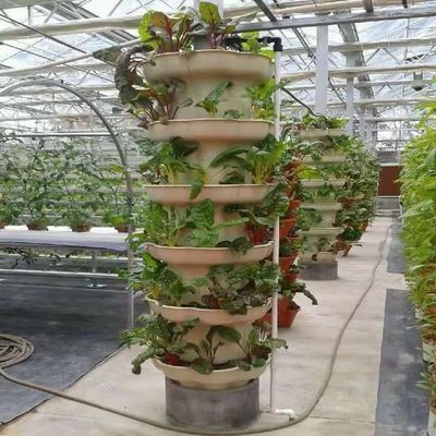 Serre à conteneur verticale pour l'agriculture dans 40HQ Reefer avec conteneur hydroponique
