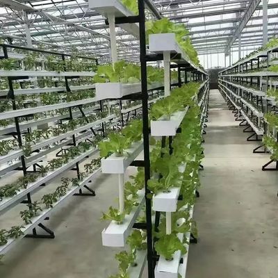 Serre à conteneur verticale pour l'agriculture dans 40HQ Reefer avec conteneur hydroponique