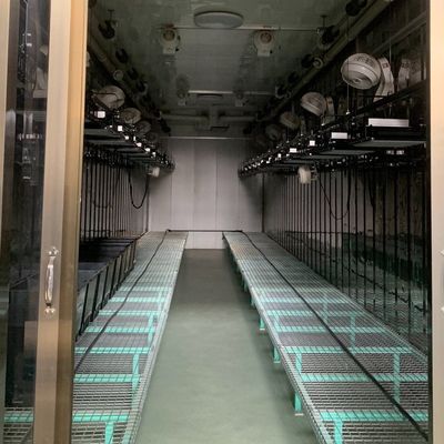 Container hydroponique verticale pour l'agriculture en acier Serre dotée de technologies de pointe
