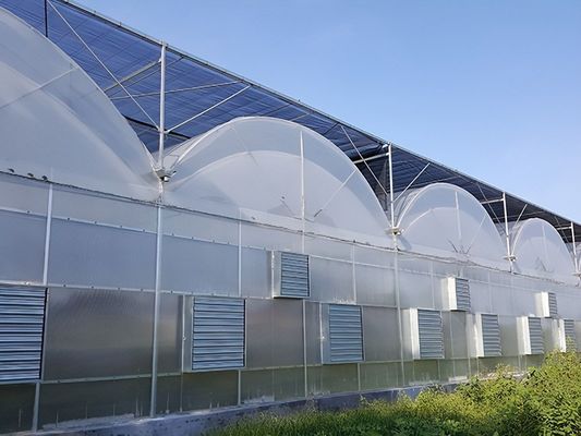 Serre de culture hydroponique recouverte de feuille de plastique et de conception à une seule étendue