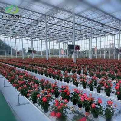 Personnalisation du Juxiang Greenhouse Personnalisable du film commercial et du verre