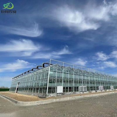 Personnalisation du Juxiang Greenhouse Personnalisable du film commercial et du verre