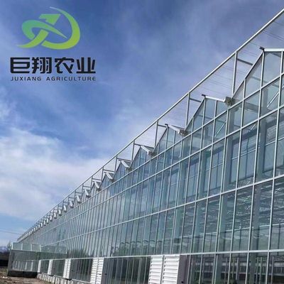 Personnalisation du Juxiang Greenhouse Personnalisable du film commercial et du verre