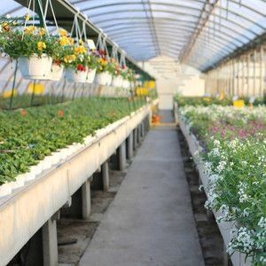Système hydroponique à longue portée pour la production de films agricoles