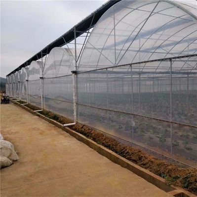Système hydroponique à longue portée pour la production de films agricoles