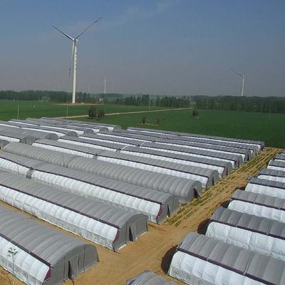 Système hydroponique à longue portée pour la production de films agricoles