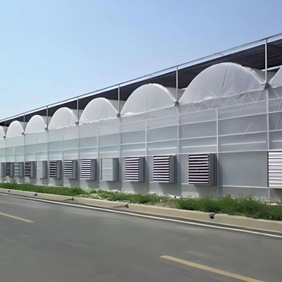 Système hydroponique à longue portée pour la production de films agricoles