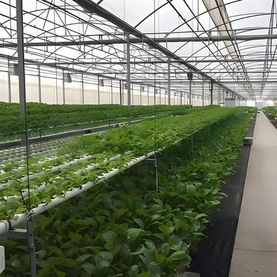 Système hydroponique à longue portée pour la production de films agricoles