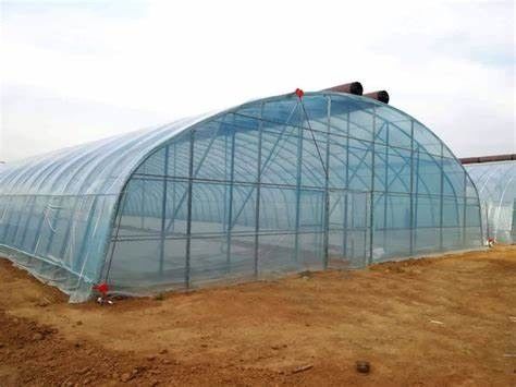 Serre à film hydroponique de Juxiang avec structure en acier et remboursement de 30 jours