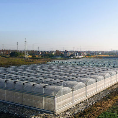 Système de serre hydroponique à structure en acier multifonctionnelle pour une agriculture durable