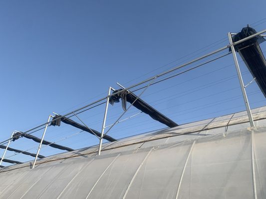 Système de serre hydroponique à structure en acier multifonctionnelle pour une agriculture durable
