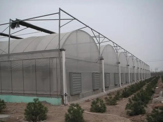 Système de serre hydroponique à structure en acier multifonctionnelle pour une agriculture durable