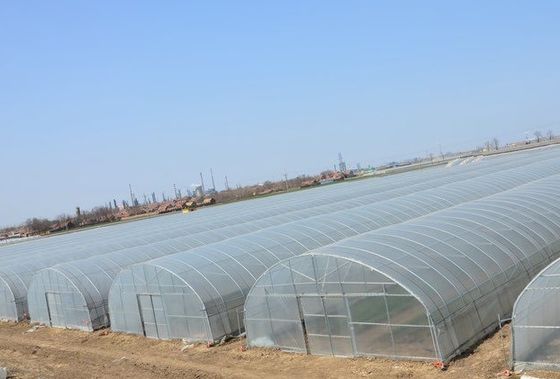 États-Unis Système de serre à plateau unique pour la culture de légumes et de fleurs Remboursement de 30 jours