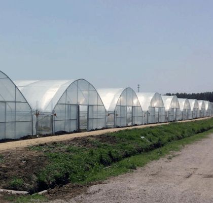 Système de serre hydroponique à longue portée pour la production et l'expérimentation commerciale