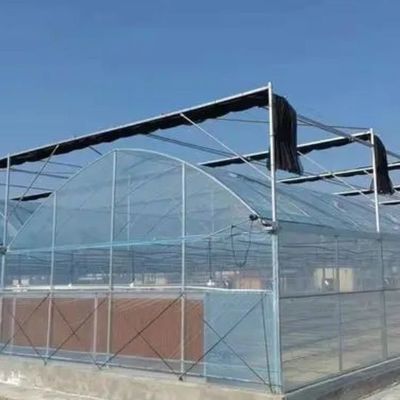 Cultiver des semis Juxiang Ferme hydroponique Serre à film avec demande sur mesure