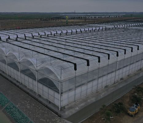 Cultiver des semis Juxiang Ferme hydroponique Serre à film avec demande sur mesure