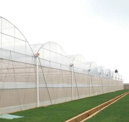 Cultiver des semis Juxiang Ferme hydroponique Serre à film avec demande sur mesure