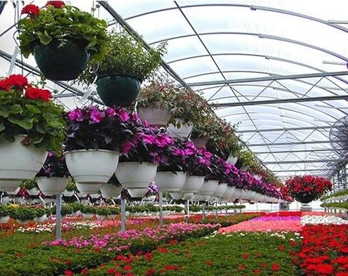 Serre à pellicule anti-goutte à goutte pour les fleurs Métode de chauffage temporaire incluse