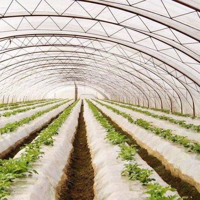 Système hydroponique personnalisable pour les légumes et les fleurs adapté à vos besoins