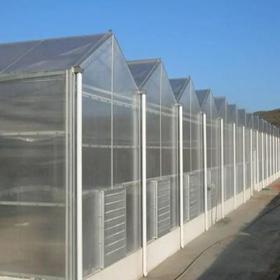 Système hydroponique personnalisable pour les légumes et les fleurs adapté à vos besoins