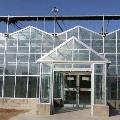 Juxiang feuille PC Board Serre pour les systèmes de culture hydroponique Fraise sur mesure