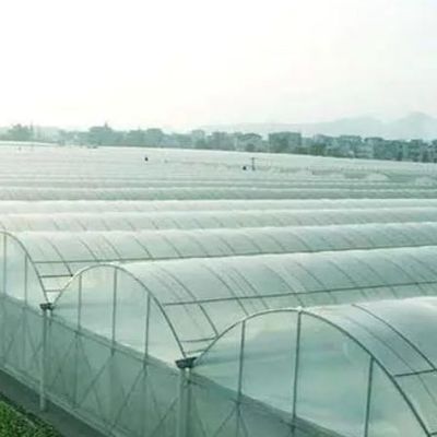Serre de contrôle de l'humidité à plusieurs étages de Juxiang pour les poivrons