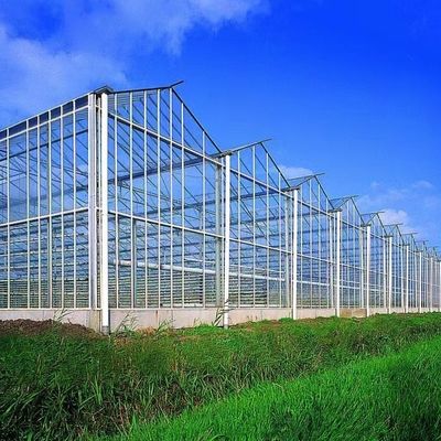 Serre en verre à double couche et à toit de type Venlo pour la culture hydroponique de légumes