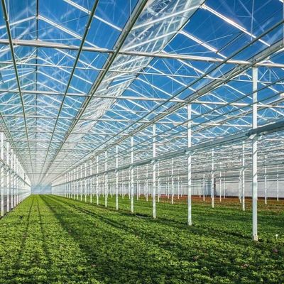 Serre en verre à double couche et à toit de type Venlo pour la culture hydroponique de légumes