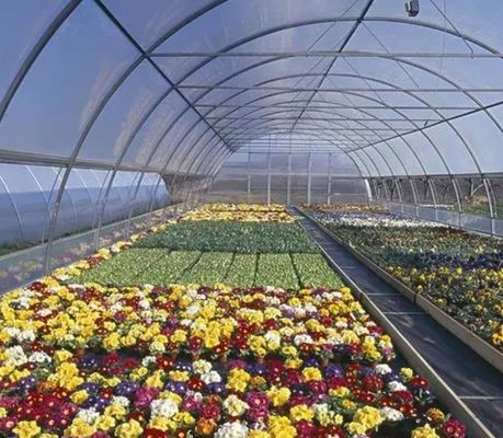 Système hydroponique à panneau unique de monnaie des États-Unis pour les performances de la culture des légumes en serre