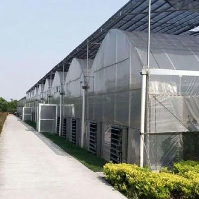 Système hydroponique Juxiang à longue étendue Serre d'humidité pour fleurs Retour des restitutions