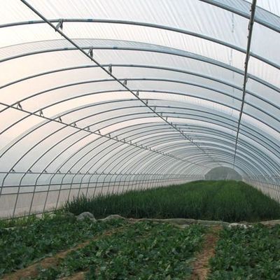 Système hydroponique Juxiang à longue étendue Serre d'humidité pour fleurs Retour des restitutions